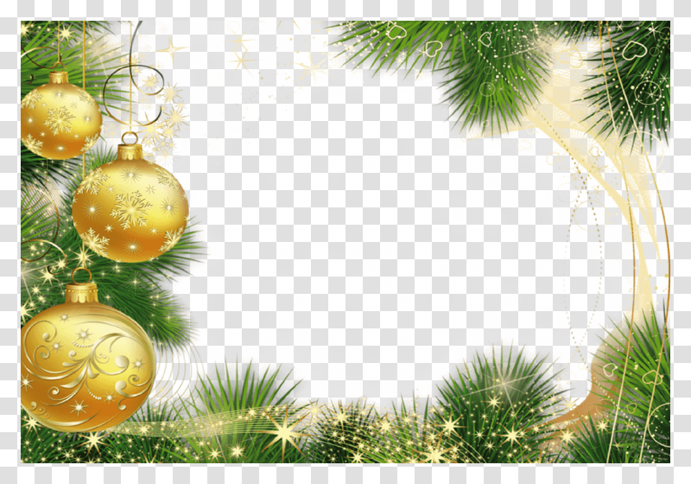 Holiday, Tree, Plant Transparent Png