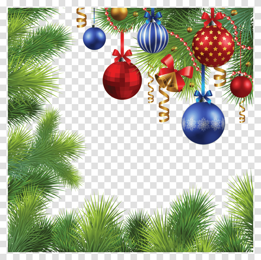 Holiday, Tree, Plant, Ornament Transparent Png