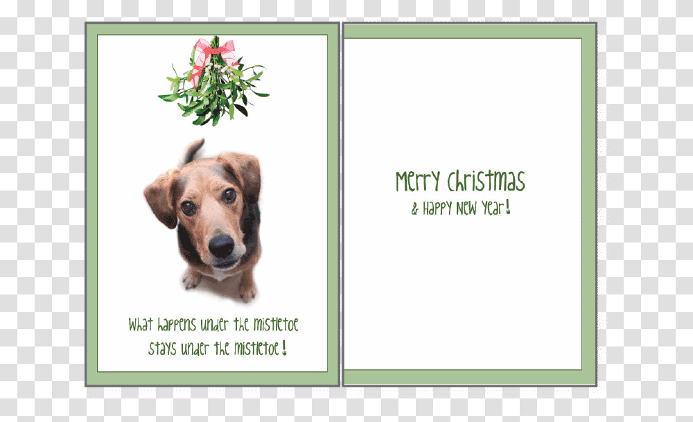 Holiday What Happens Under The MistletoeClass Christmas Card Dog And Mistletoe, Pet, Canine, Animal, Mammal Transparent Png