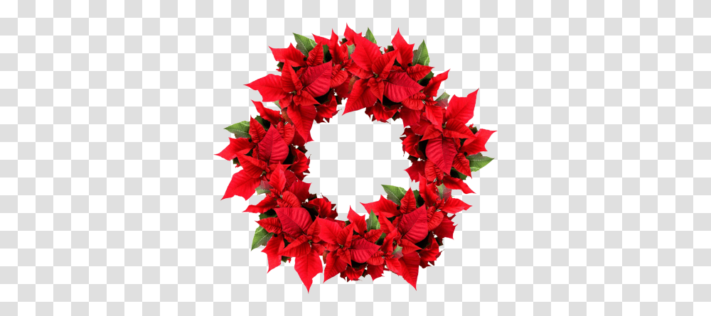 Holiday Wreath Red Christmas Wreath, Flower, Plant Transparent Png