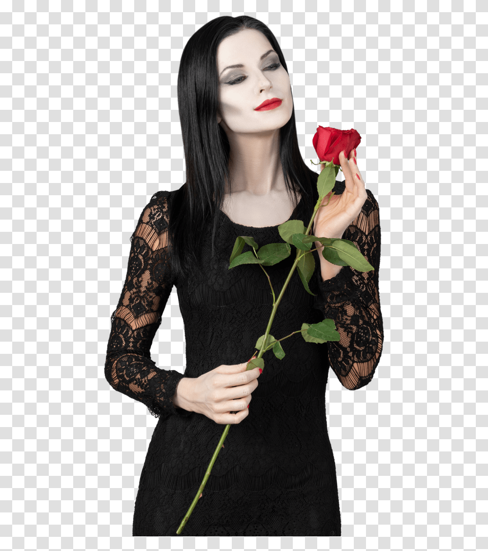 Holidays Girl, Plant, Rose, Flower, Person Transparent Png