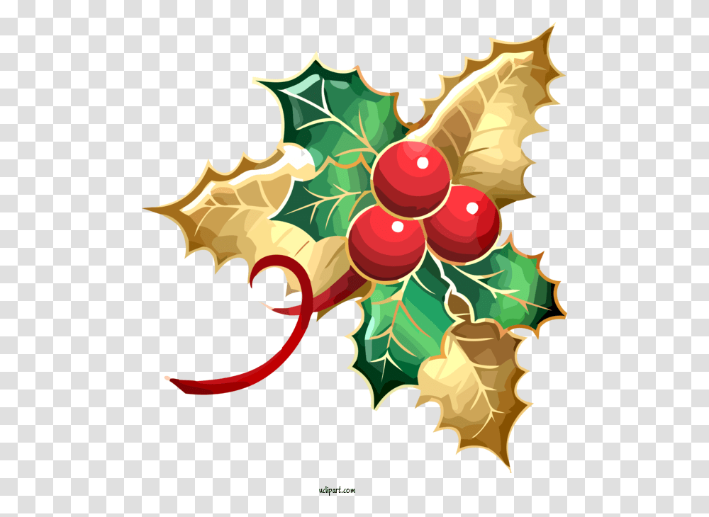 Holidays Holly Leaf Plant For Christmas For Holiday, Tree, Graphics, Art, Pattern Transparent Png