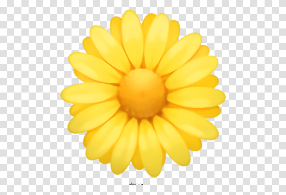 Holidays Yellow Gerbera Petal For Easter Easter Clipart Fresh, Plant, Flower, Blossom, Daisy Transparent Png