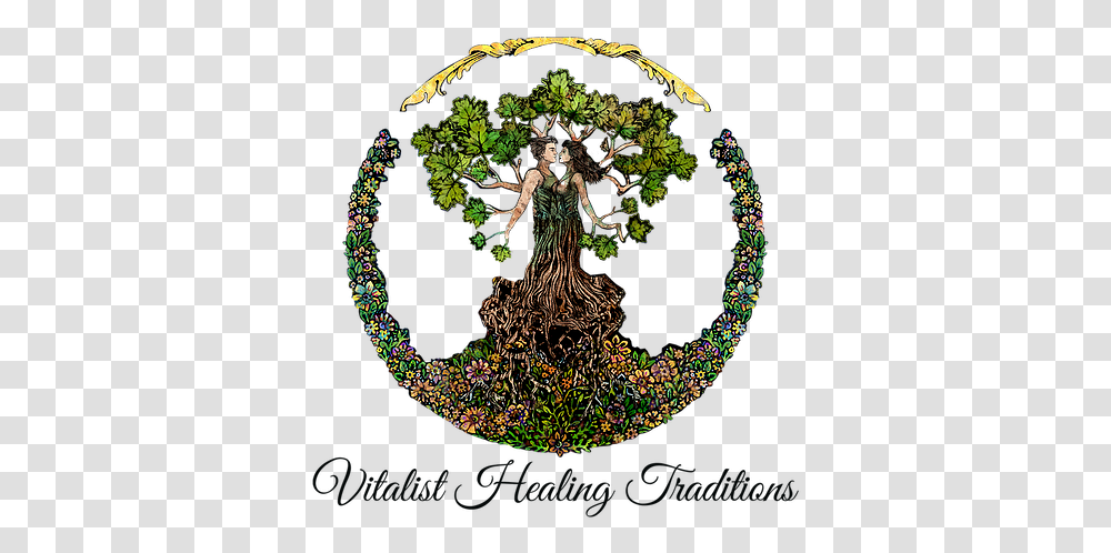 Holistic Herbalism Circle, Plant, Tree, Symbol, Art Transparent Png