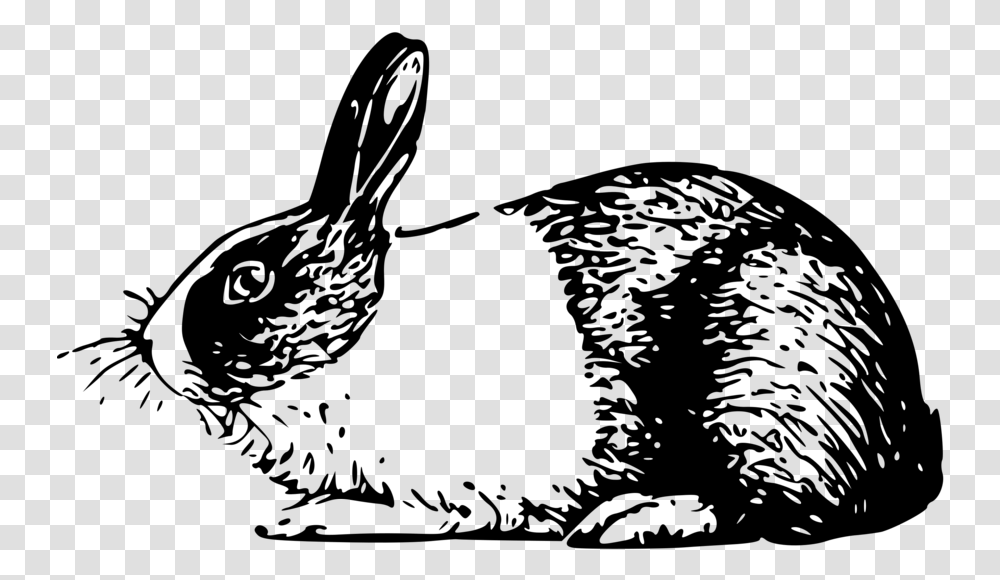 Holland Rabbit Small Clipart 300pixel Size Free Design Rabbit Illustrations Black And White, Gray, World Of Warcraft Transparent Png