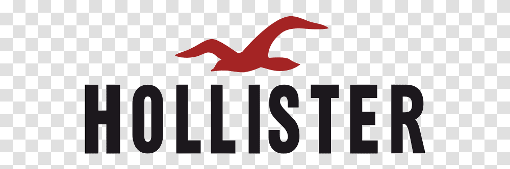 Hollister Logo Hollister, Number, Symbol, Text, Antelope Transparent Png