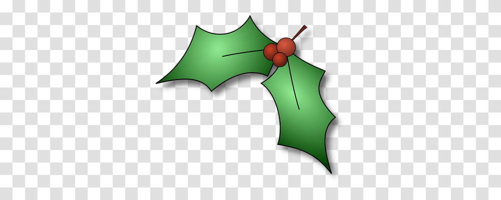 Holly Religion, Leaf, Plant Transparent Png