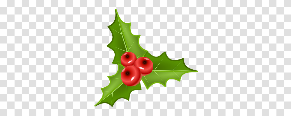 Holly Religion, Leaf, Plant, Tree Transparent Png