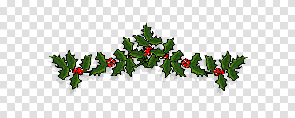 Holly Religion, Plant, Tree, Fruit Transparent Png