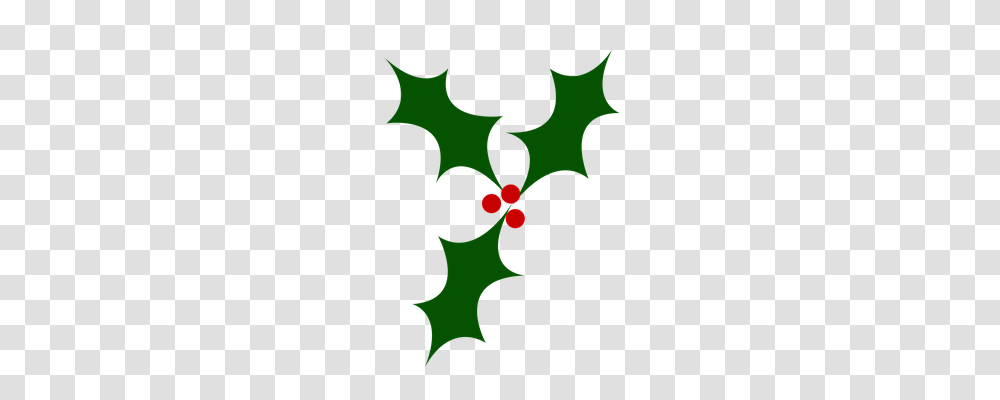 Holly Religion, Leaf, Plant, Green Transparent Png