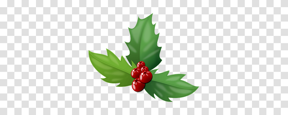 Holly Religion, Leaf, Plant, Fruit Transparent Png