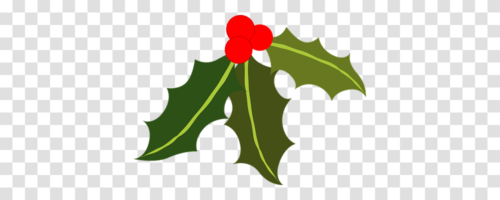 Holly Religion, Leaf, Plant, Seed Transparent Png