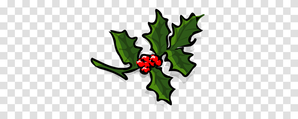 Holly Religion, Leaf, Plant, Tree Transparent Png