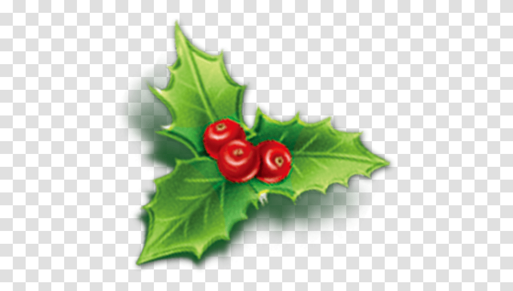 Holly Aquifoliales Christmas Mistletoe Icon Cherry Mistletoe Icon, Leaf, Plant, Fruit, Food Transparent Png