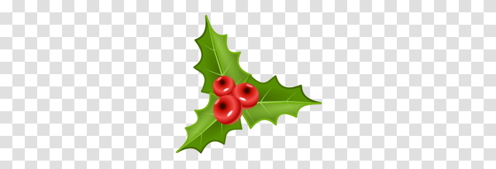 Holly Berries Clipart Free Clip Art Images, Leaf, Plant, Tree, Fruit Transparent Png