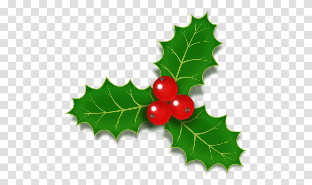 Holly Berries Icon Psd Christmas Holly And Berries, Leaf, Plant, Tree, Fruit Transparent Png