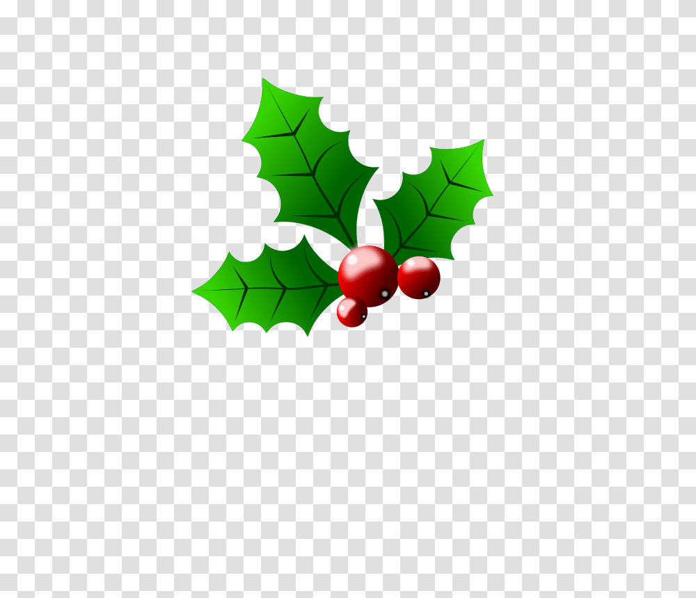 Holly Berries, Plant, Leaf, Fruit, Food Transparent Png