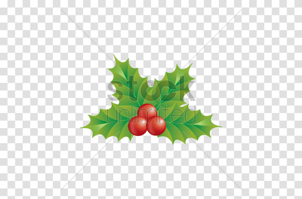 Holly Berry Vector Image, Leaf, Plant, Tree, Bow Transparent Png