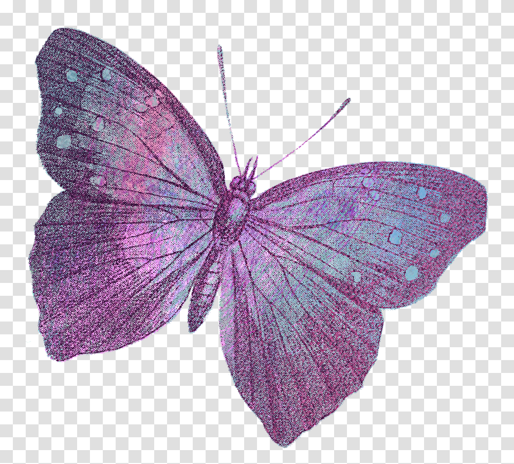 Holly Blue, Insect, Invertebrate, Animal, Butterfly Transparent Png