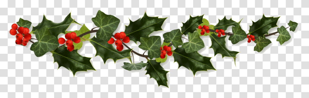 Holly Border Christmas Holly, Leaf, Plant, Tree, Ivy Transparent Png