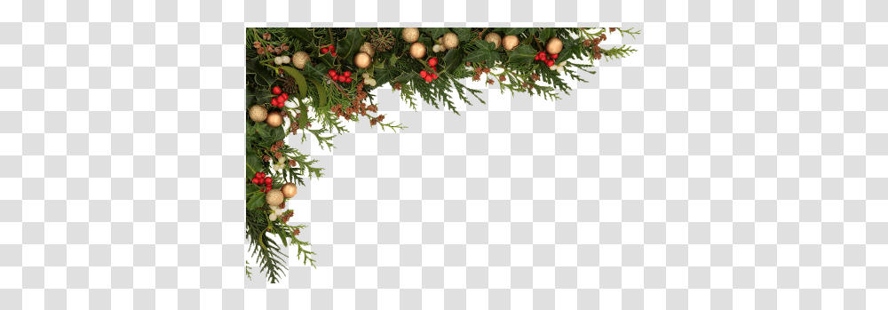 Holly Border Image Christmas Border, Plant, Fruit, Food, Tree Transparent Png