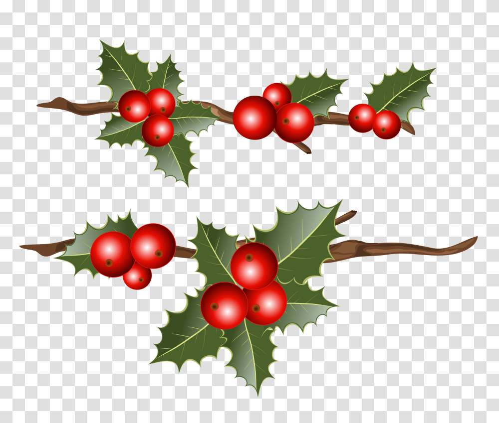 Holly Branches Clipart, Plant, Fruit, Food, Leaf Transparent Png