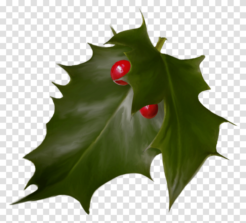 Holly Christmas Advent Wreath Holiday Hojas De La Corona De Adviento, Leaf, Plant, Tree, Flower Transparent Png