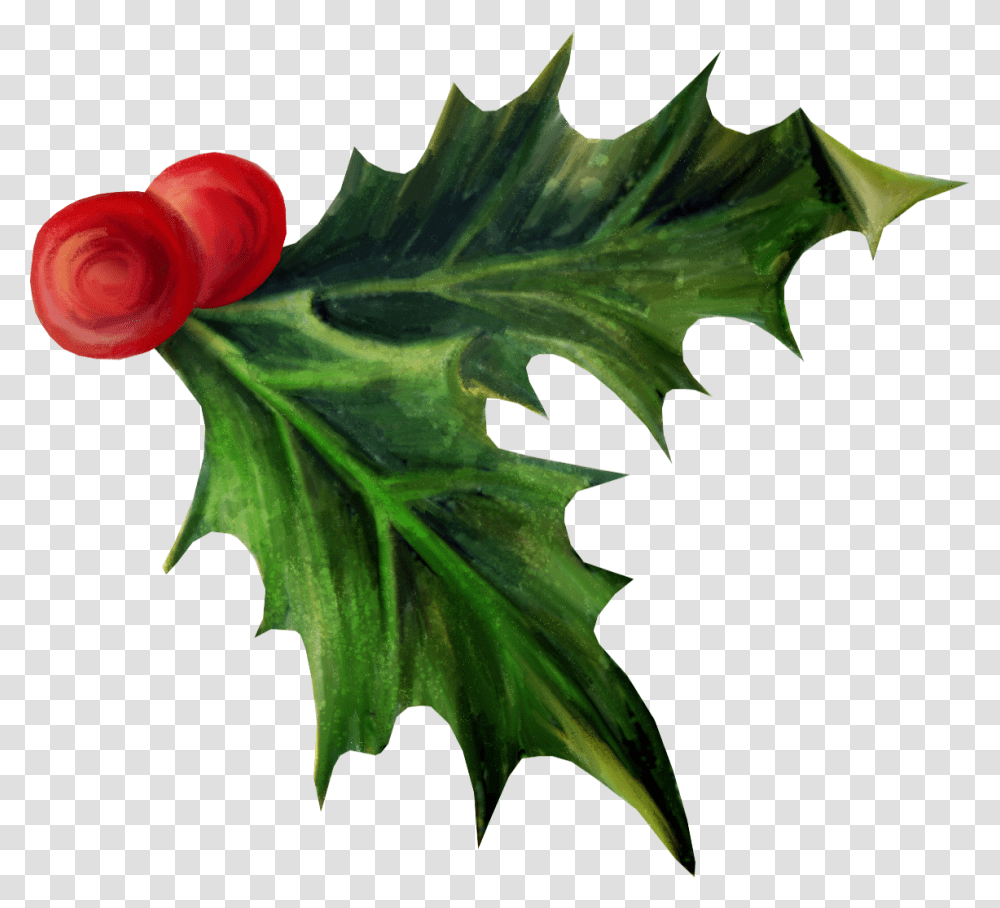 Holly Christmas Day Aquifoliales Adobe Photoshop Photography Holly Clipart Background, Leaf, Plant, Flower, Blossom Transparent Png