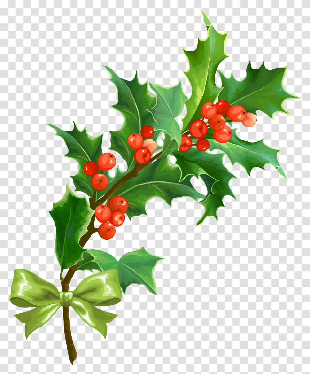 Holly Christmas Holly Background, Leaf, Plant, Tree, Flower Transparent Png