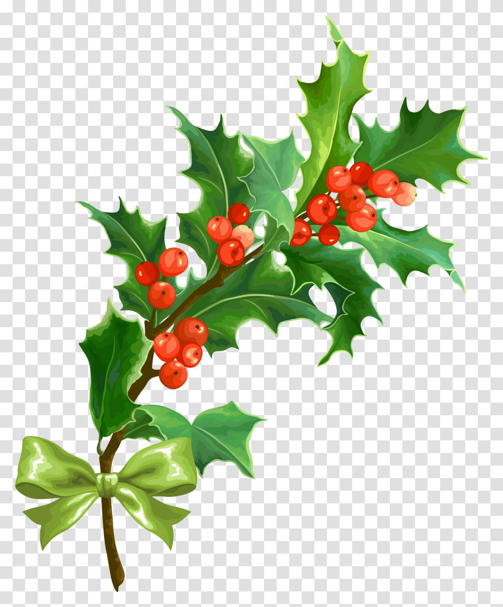 Holly Christmas Holly Leaf, Plant, Tree, Fruit, Food Transparent Png