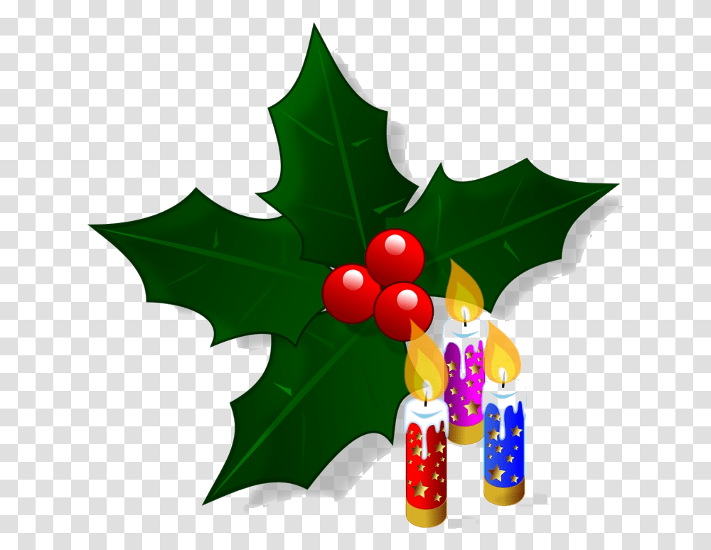 Holly Christmas Holly, Leaf, Plant, Tree, Maple Leaf Transparent Png