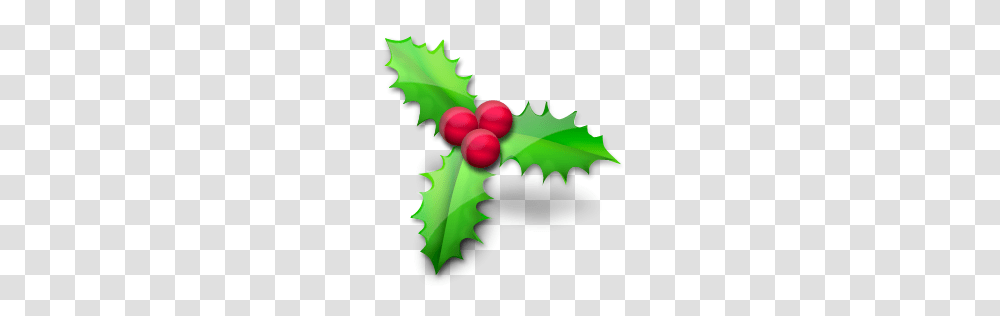 Holly Christmas Icon, Leaf, Plant, Tree, Green Transparent Png