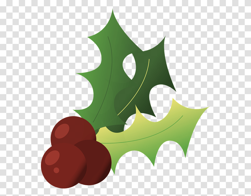 Holly Christmas Winter Free Image On Pixabay Hulst, Leaf, Plant, Tree, Seed Transparent Png