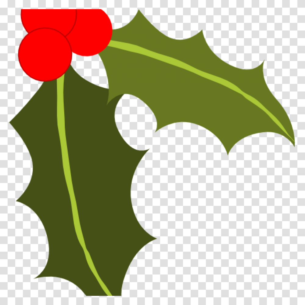 Holly Clip Art Free At Clker Vector Online Royalty Christmas Holly Clipart, Leaf, Plant, Flower, Blossom Transparent Png