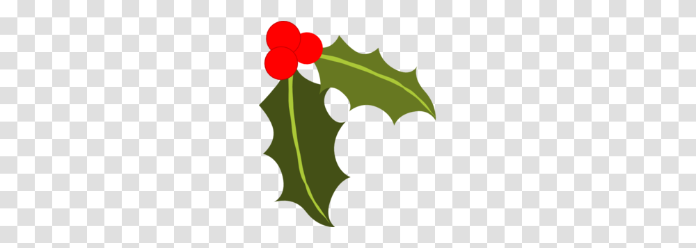 Holly Clip Art, Plant, Leaf, Flower, Blossom Transparent Png