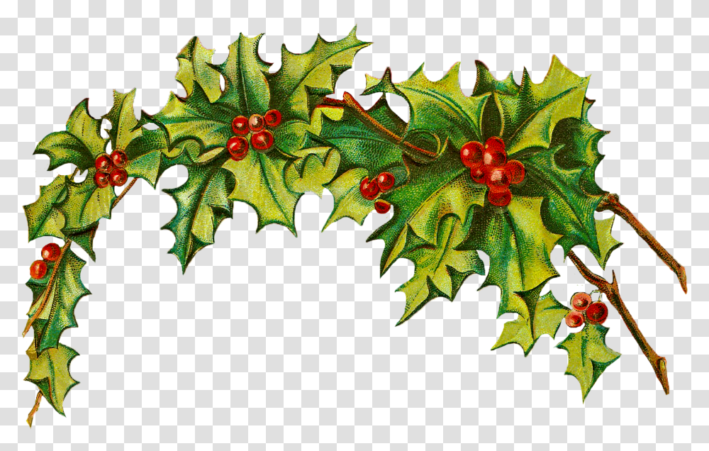 Holly Clipart Background Vintage Christmas Clipart, Leaf, Plant, Green, Symbol Transparent Png