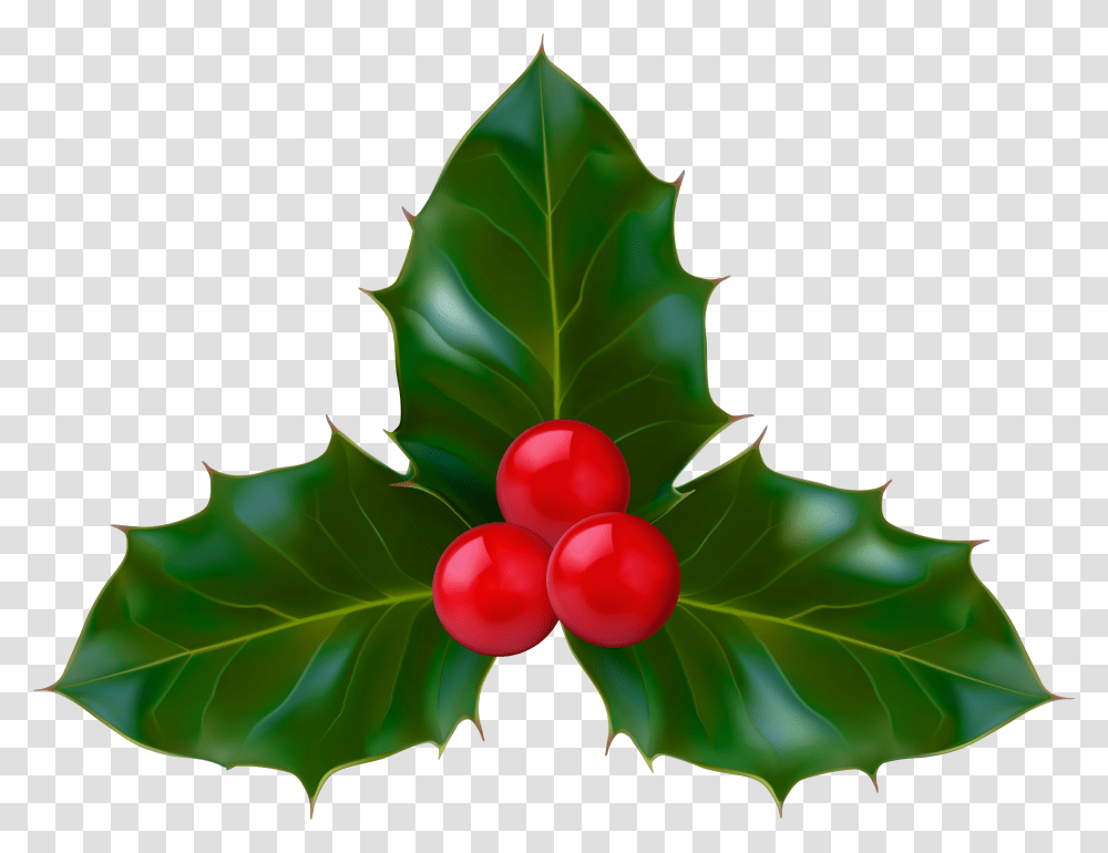 Holly Clipart Clipart Holly Transparent Png