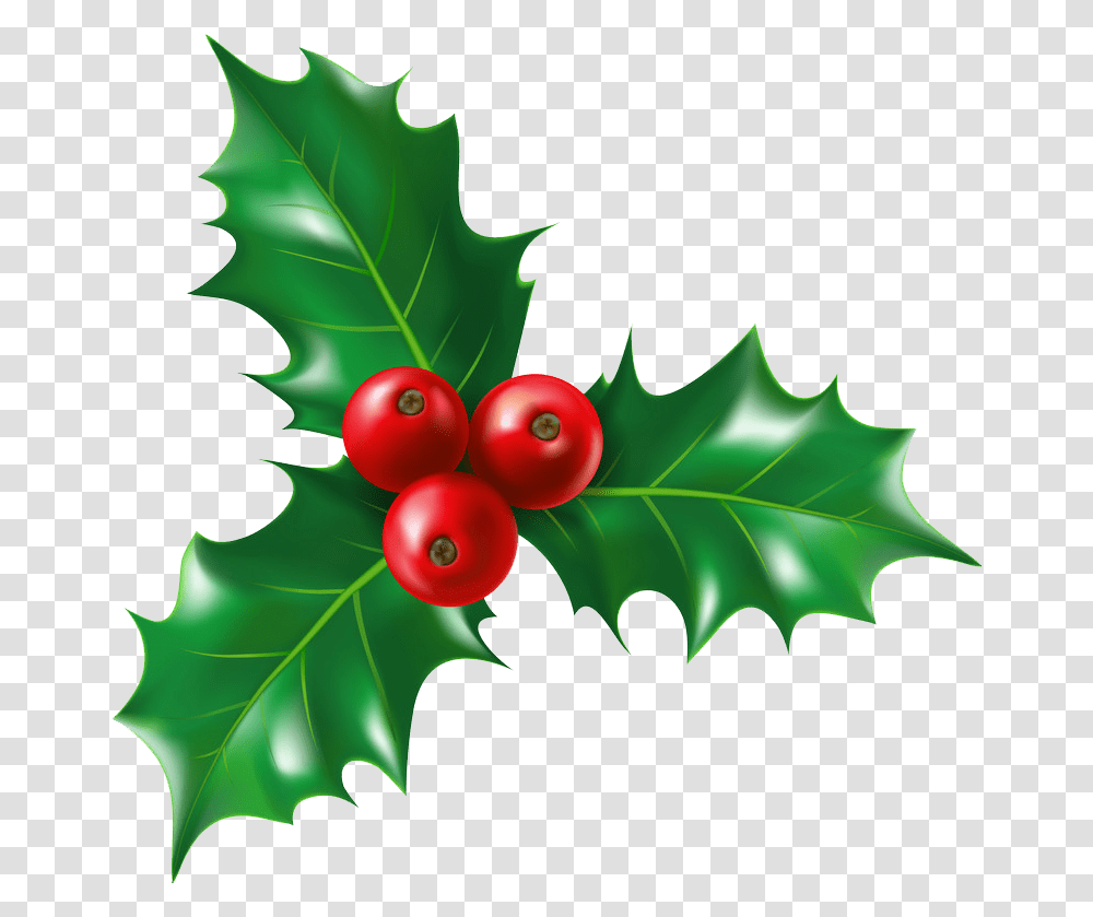 Holly Clipart Clipartworld Holly Christmas Berry Plant, Leaf, Food, Tree, Fruit Transparent Png
