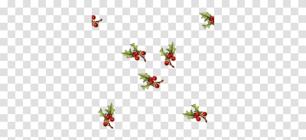 Holly Clipart Free Clipart, Leaf, Plant, Tree, Annonaceae Transparent Png