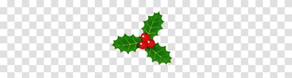 Holly Clipart Free Clipart, Leaf, Plant, Tree, Food Transparent Png