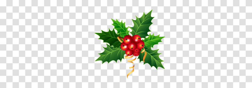 Holly Clipart Free Clipart, Leaf, Plant, Tree, Fruit Transparent Png