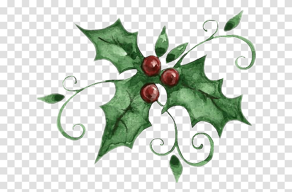 Holly Graphic, Leaf, Plant, Tree, Painting Transparent Png