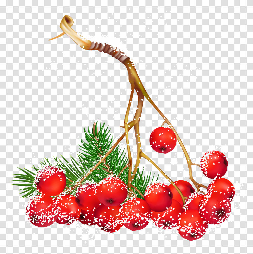 Holly Holly And Berry Clip Art Transparent Png