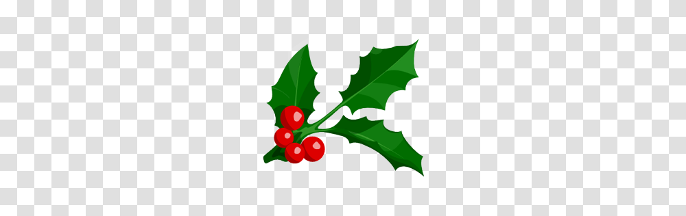 Holly Icon Merry Christmas Iconset Lovuhemant, Plant, Radish, Vegetable, Food Transparent Png