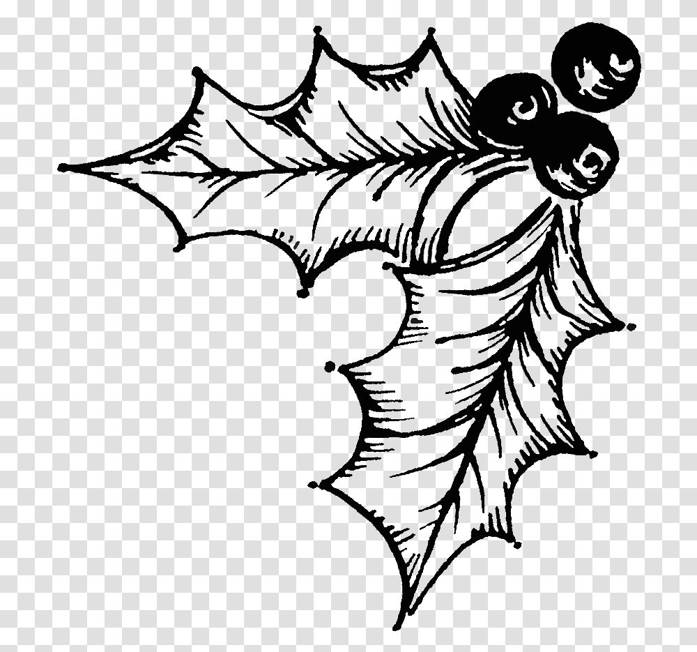 Holly Illustration, Spider Web Transparent Png