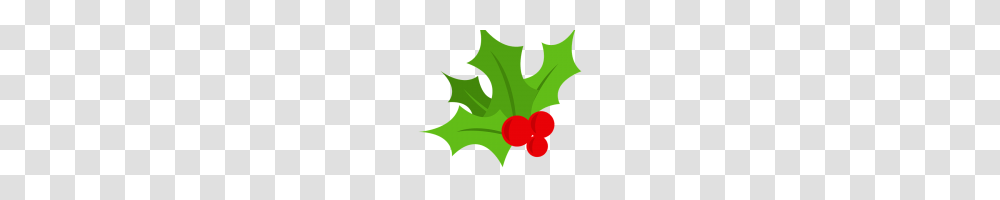 Holly Images Free Christmas Holly Vector Free Vector Download, Plant, Leaf, Vegetable, Food Transparent Png