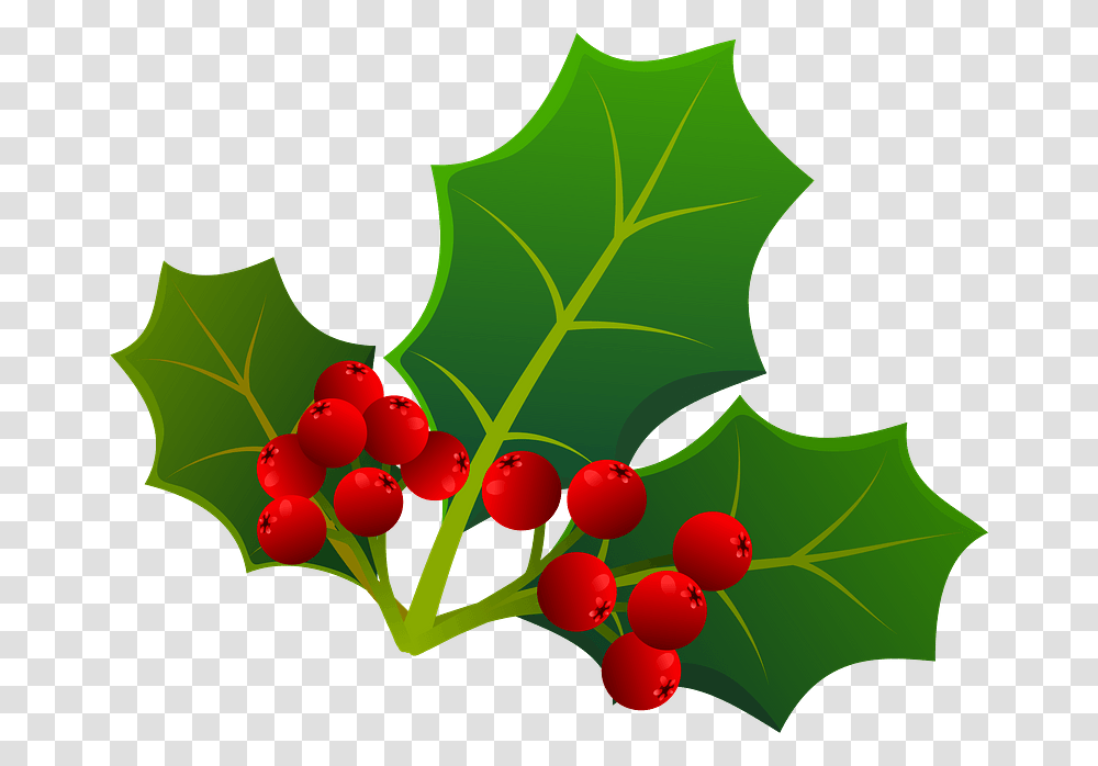 Holly Leaf Clipart American Holly, Plant, Fruit, Food, Cherry Transparent Png