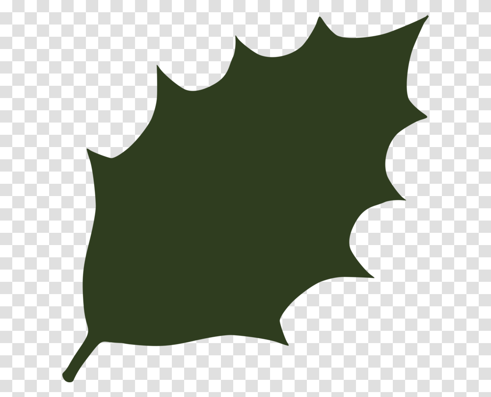 Holly Leaf Download Maple Computer Icons, Plant, Person, Human, Tree Transparent Png