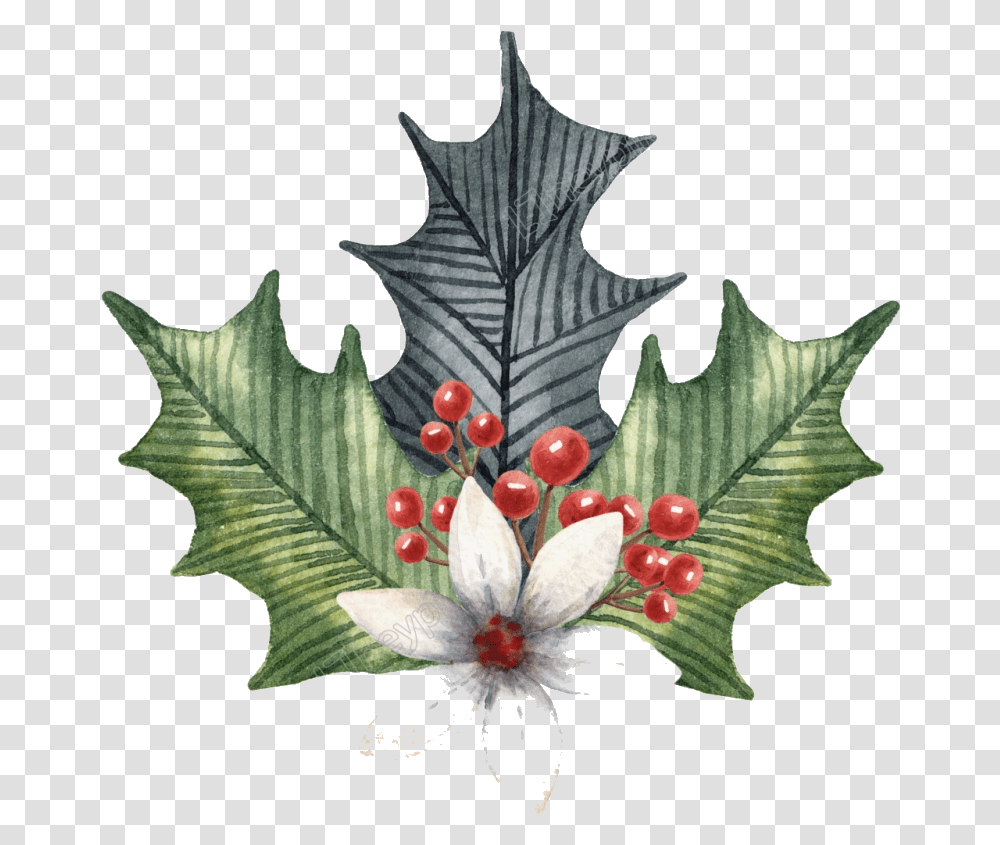 Holly Leaf Leaves Illustration Clipart Illustration, Plant, Tree, Flower, Pattern Transparent Png
