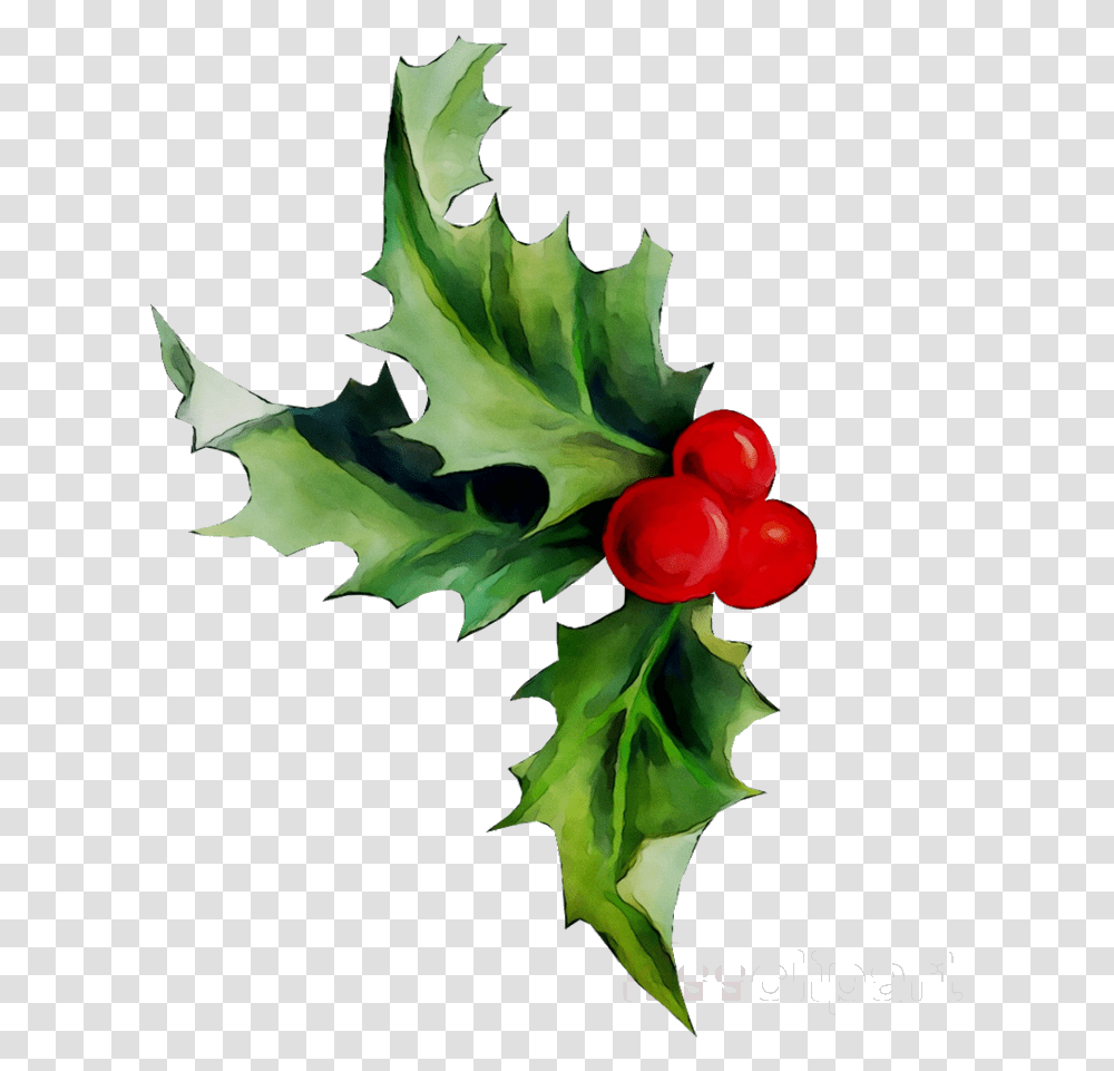 Holly Leaf Plant Flower Holly, Food, Fruit, Cherry, Person Transparent Png
